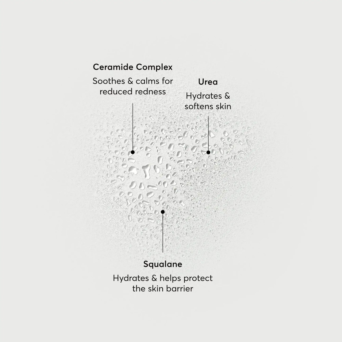 barrier-bounce-bi-phase-mist-c9 NATR-10167-Alt-Images-Barrier-Bounce-Bi-Phase-Toner-Mist_01.webp