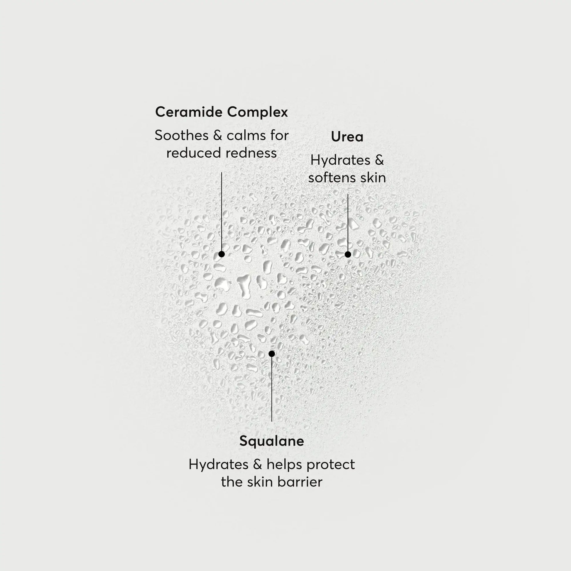 barrier-bounce-bi-phase-mist-c9 NATR-10167-Alt-Images-Barrier-Bounce-Bi-Phase-Toner-Mist_01.webp
